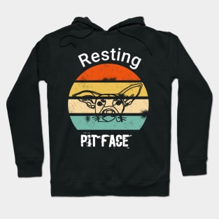 Vintage resting pit face dog Hoodie